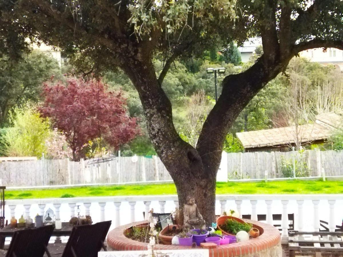 Lovely Home Nearby Madrid To Enjoy Nature Villaviciosa de Odón エクステリア 写真